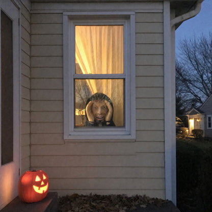The Window Stalker
